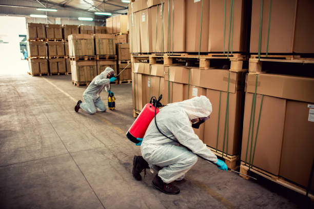 Best Pest Inspection Near Me  in Ridgewood, IL