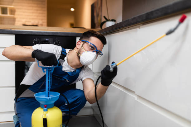 Best Rat Extermination Near Me  in Ridgewood, IL