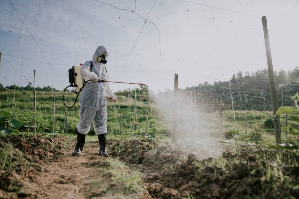 Best Local Pest Control Services  in Ridgewood, IL
