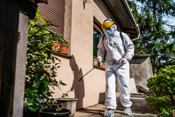 Best Rodent Control Near Me  in Ridgewood, IL