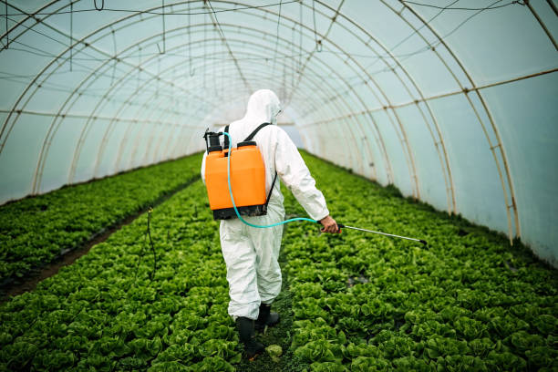 Best Pest Control Near Me  in Ridgewood, IL