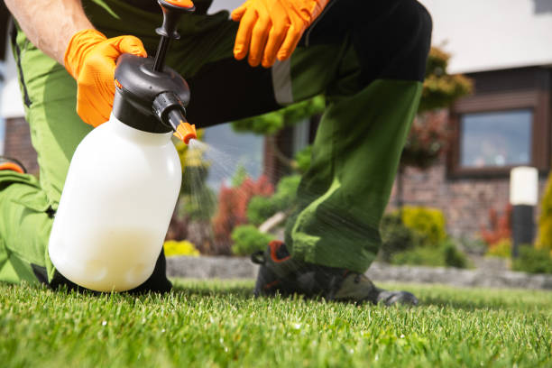 Pest Control for Restaurants in Ridgewood, IL