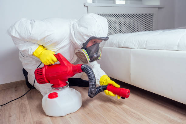 Best Exterminator Services  in Ridgewood, IL