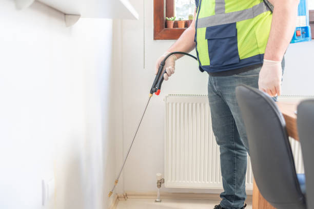 Professional Pest Control in Ridgewood, IL