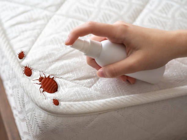 Best Pest Control Near Me in Ridgewood, IL