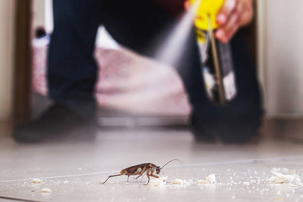 Pest Prevention Services in Ridgewood, IL