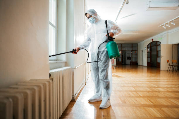 Best Wasp Removal Services  in Ridgewood, IL