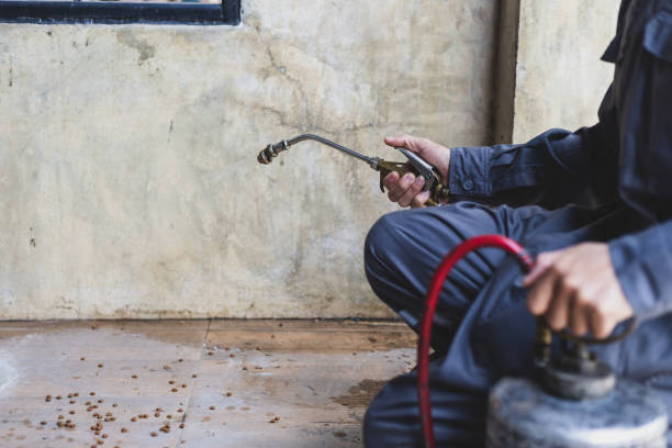 Pest Prevention Services in Ridgewood, IL